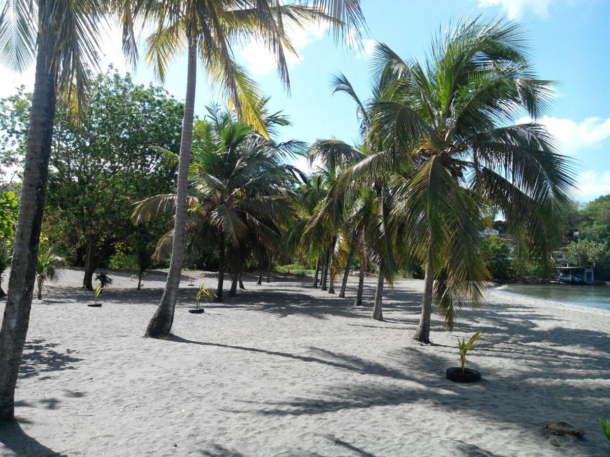 Madiana Plage Schoelcher Exterior foto